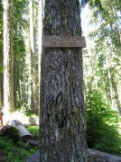 6.24-25.06 Memaloose Lake 007 